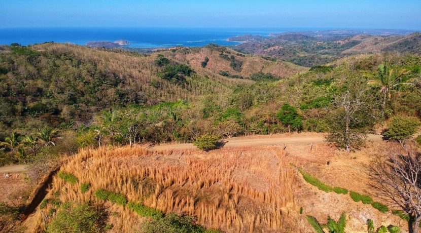 4f3b3068-c3f3-486d-ad64-666e3230d0e4