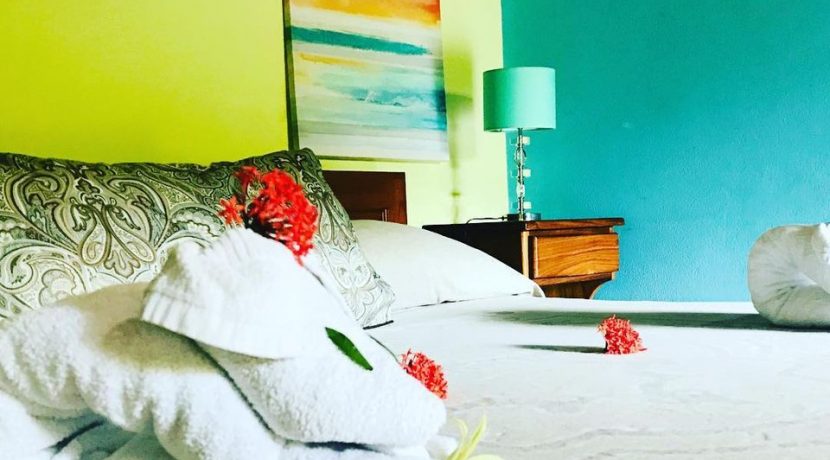 47157262_1185881671563142_5023031198327242752_o