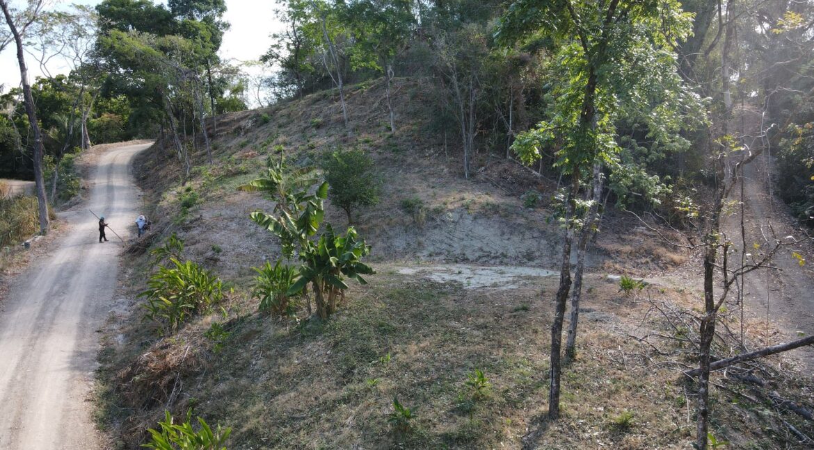 aec82769-101d-4509-b667-d4f80a413091