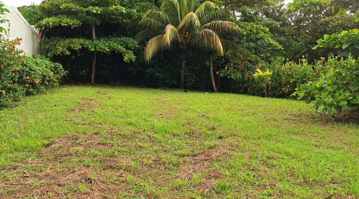 43622144-5d7b-4a69-b2af-73db49c4fe37