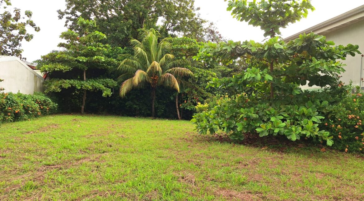 6ea273fc-44e3-4723-ac22-45b878278759