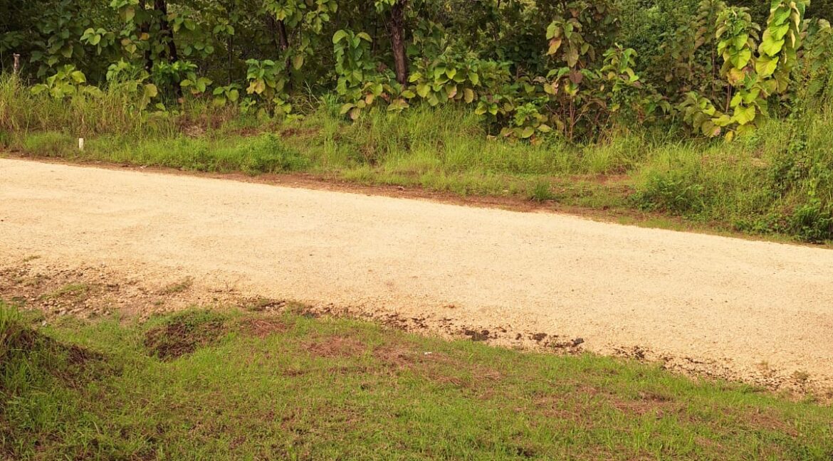 818403b1-ad18-49ce-8da9-46e6d06f7399