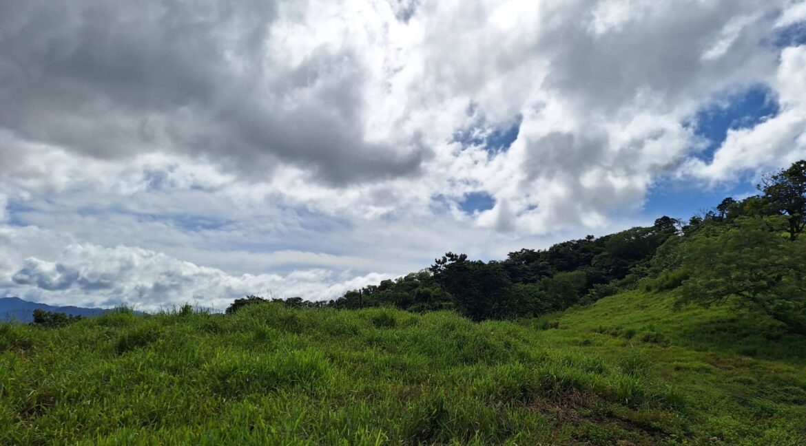 0cd97fa4-5cf7-433c-a405-d352214c60d7