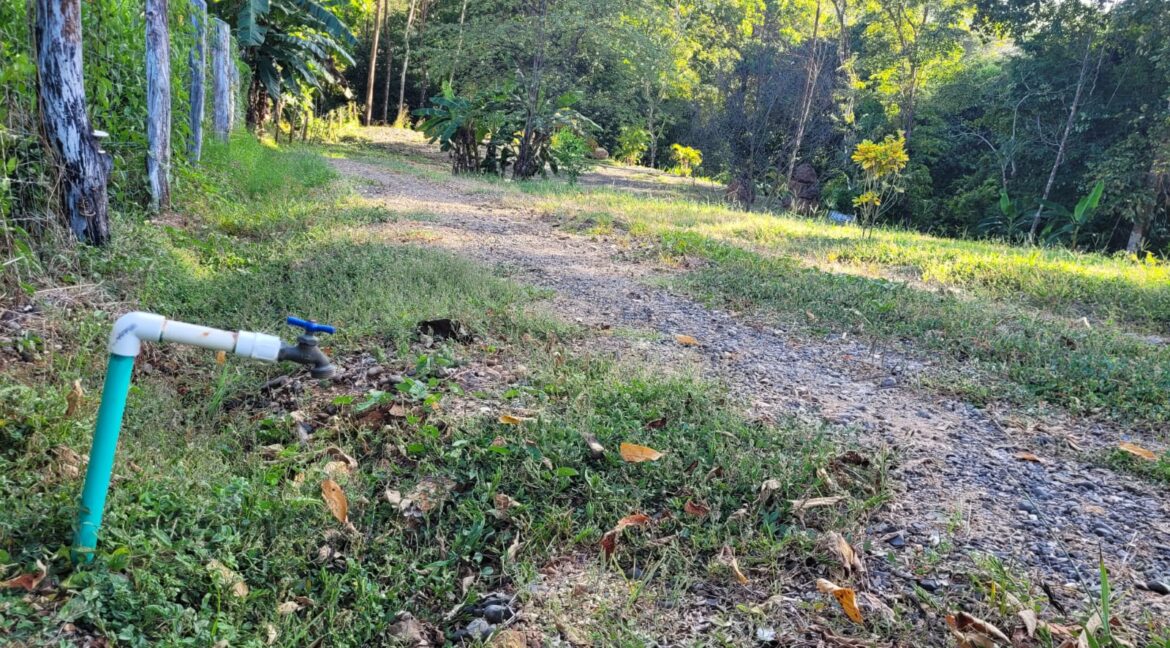 178a8eda-a520-43d7-93a9-47fd029612b6