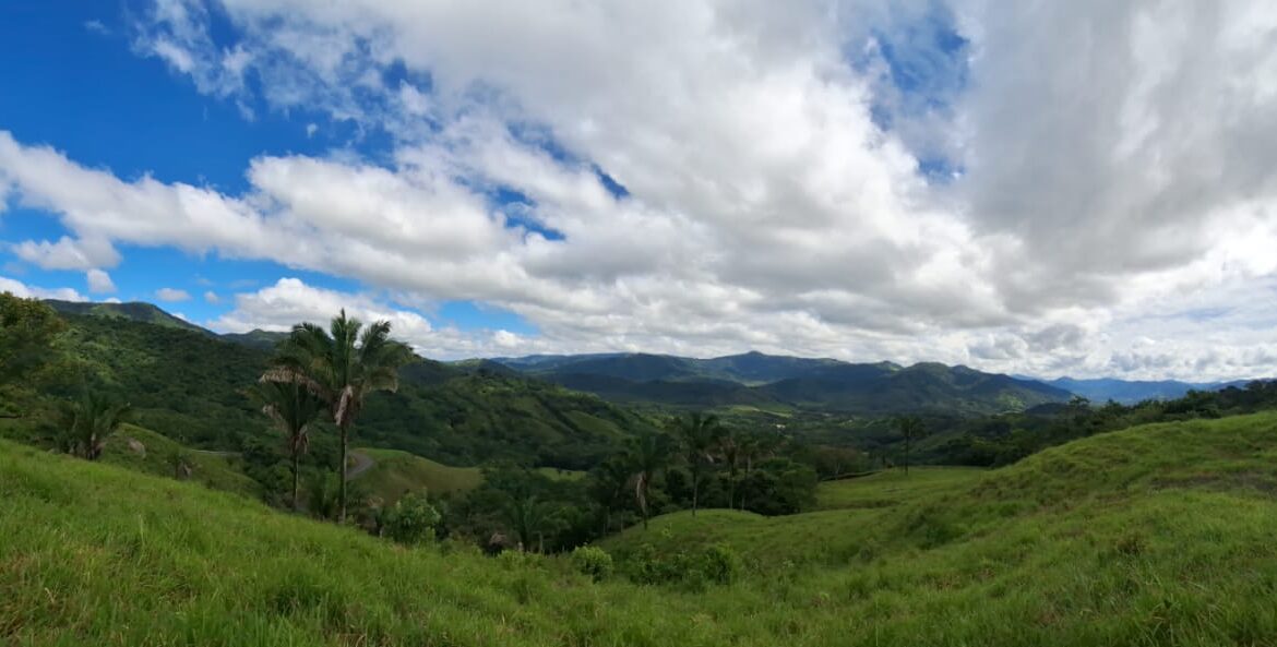 1de67861-46e6-4085-aca3-7767bceb19ad