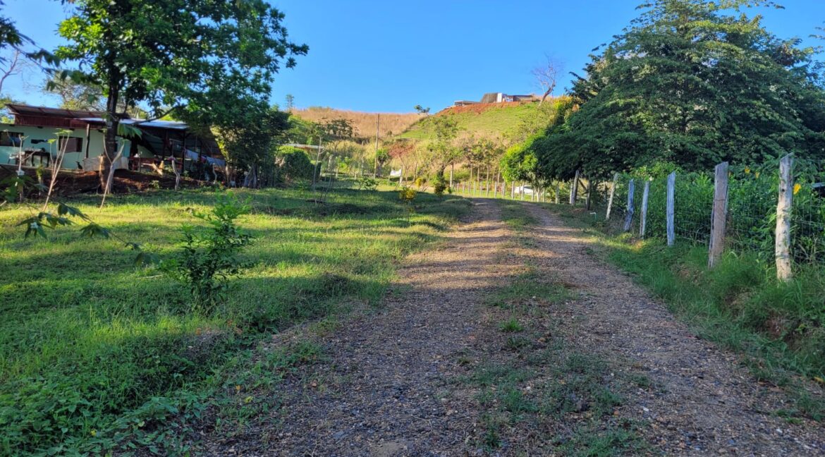 608ea954-d18b-4aa3-b08e-82e1f0b5c35d