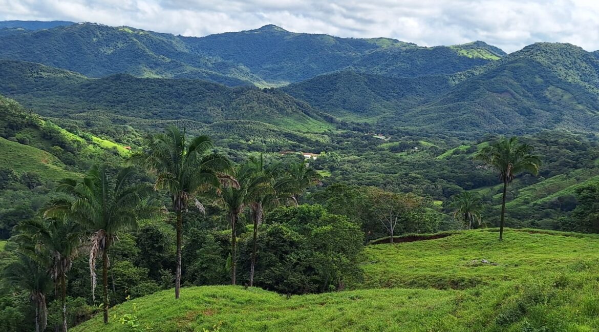 8ef9a43d-bf8b-4221-8189-56f00c00ed65