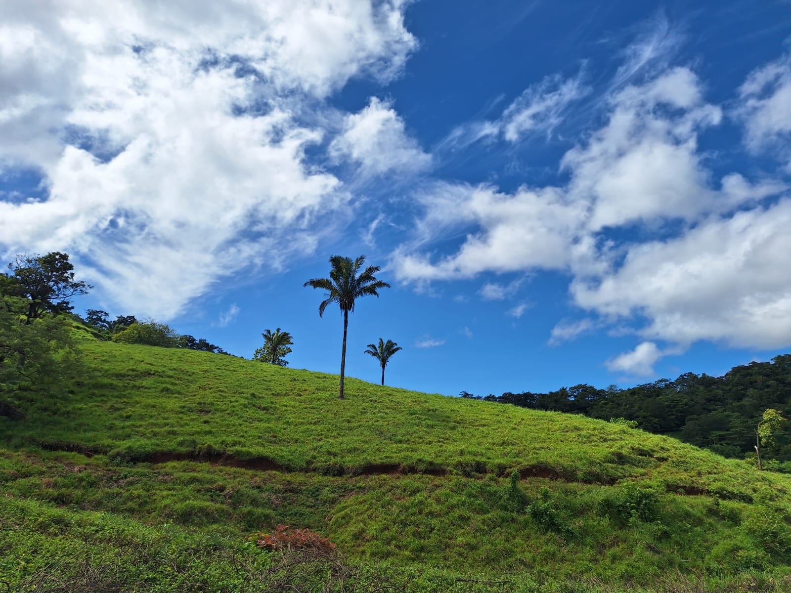 FINCA TRANQUILA-SANTA MARTA