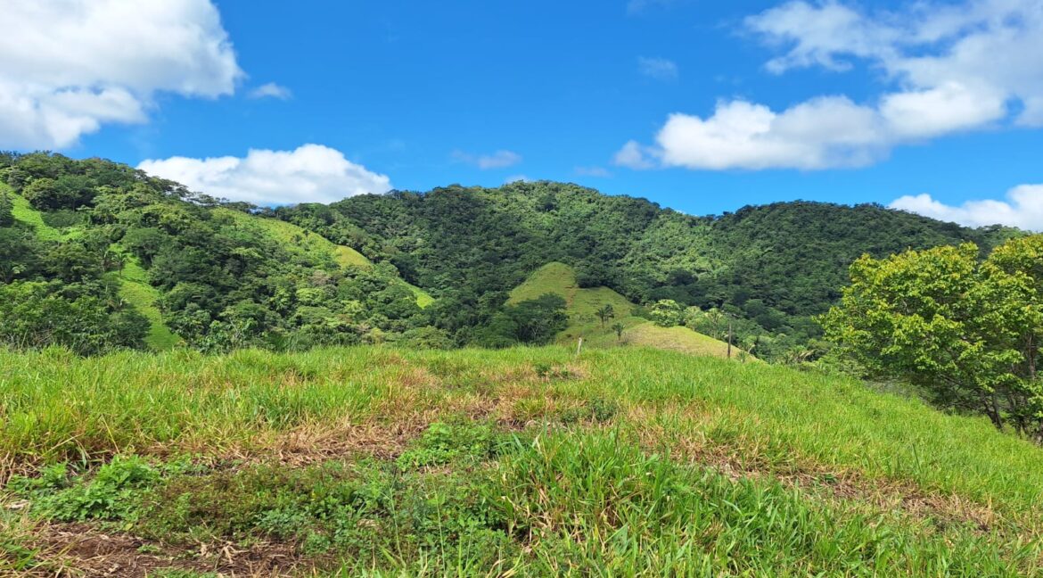 ec143445-1212-4790-ad46-233cb64ce1fc