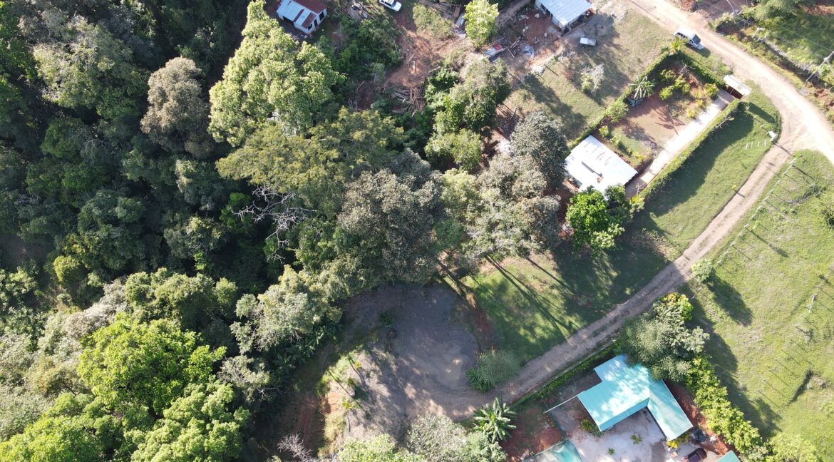 f1e2bb11-e686-42c1-a8a2-52e0b44b96b3