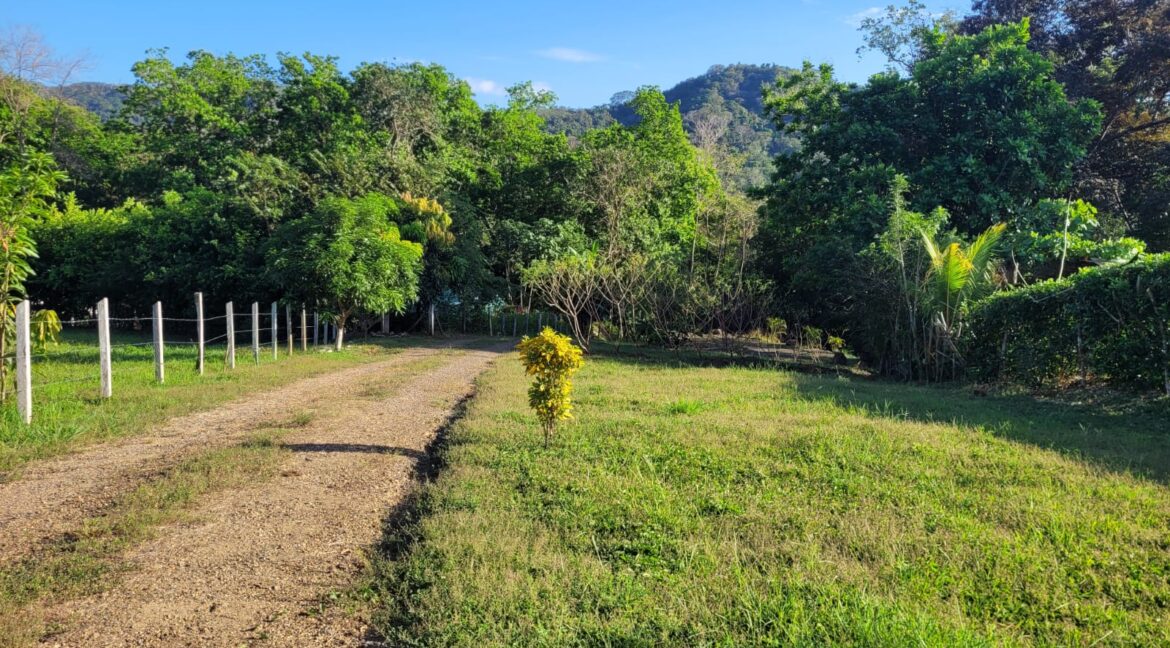 7b422d51-51b9-4055-8c10-980baf481274