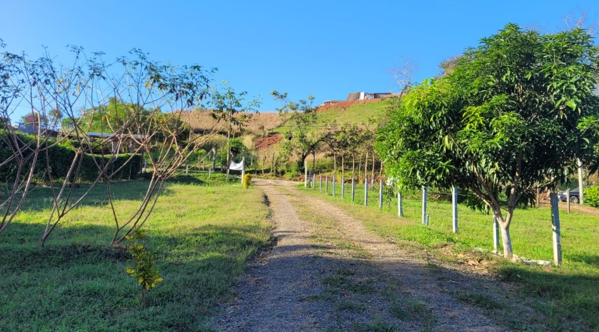 b2621240-5e66-494b-9ff1-e6e412d2f1a2