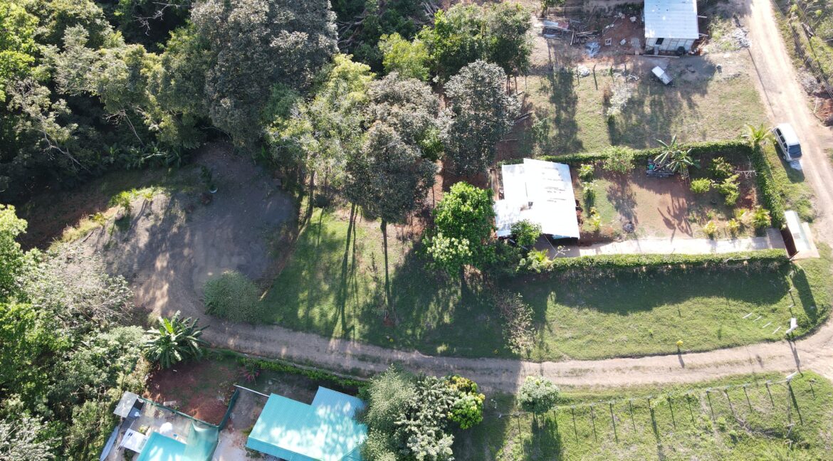 ec312541-a0b3-4920-94a8-a0ed8828be92