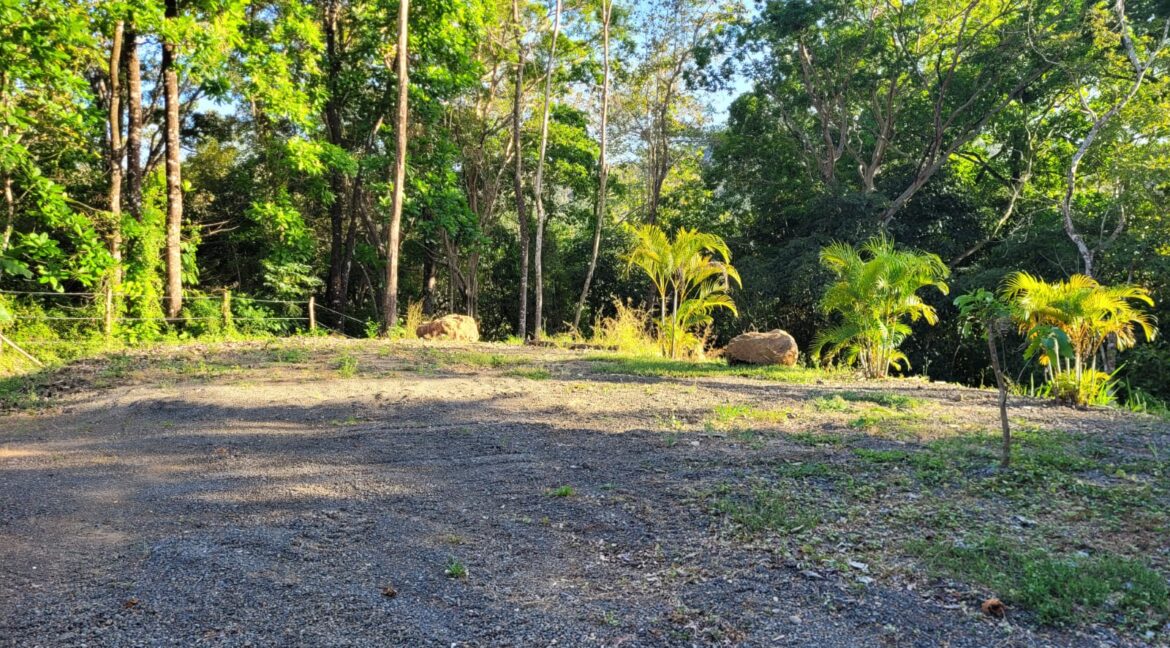 f6a00c14-89c3-48a6-b897-e947ed207e2b