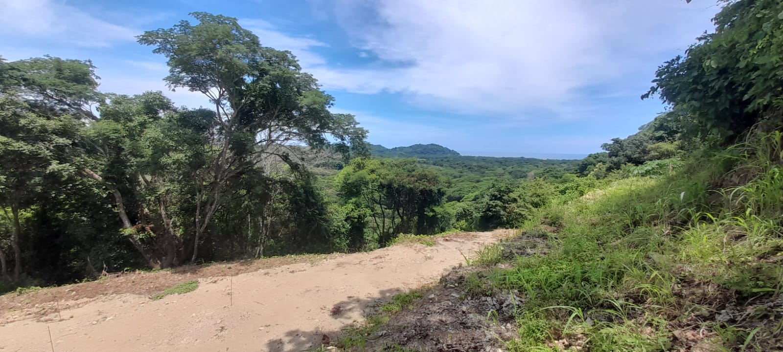 Buena Vista Ocean View Lot